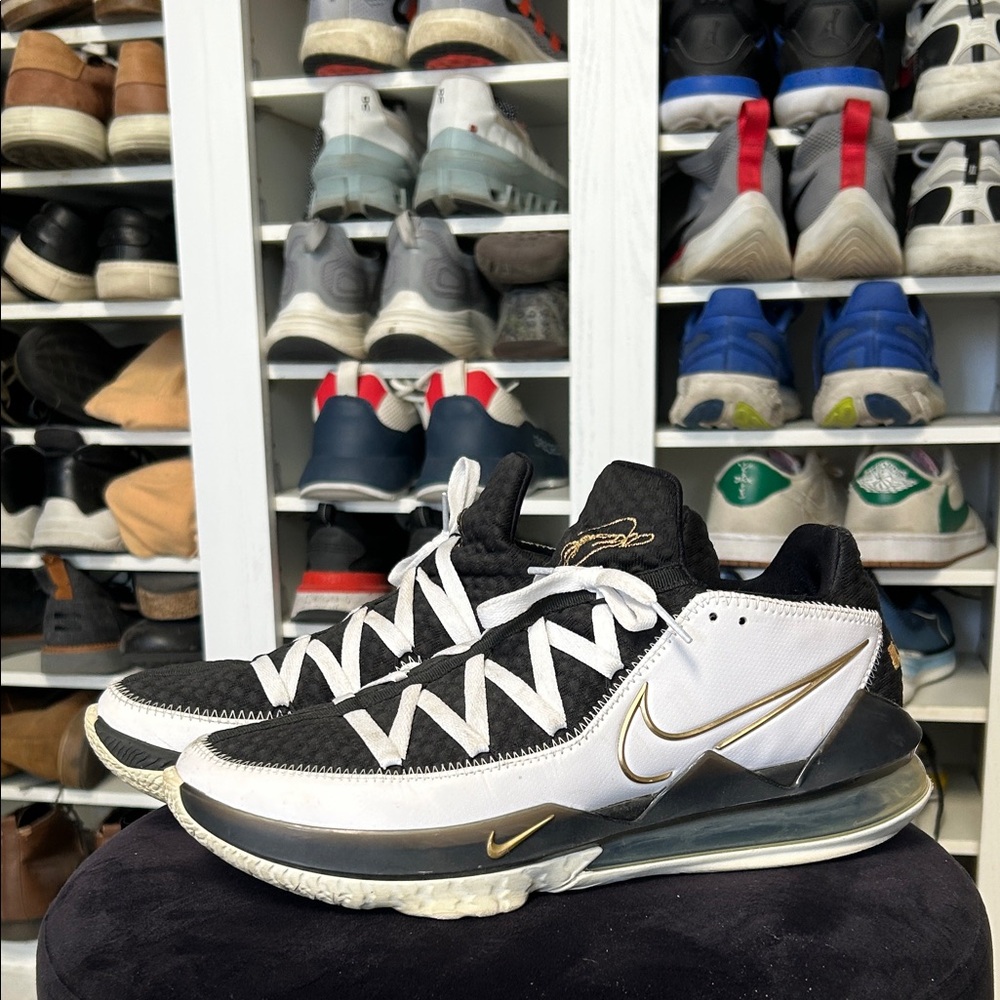 LeBron 17 Low